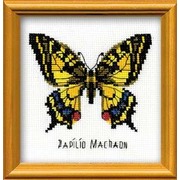 Набор для вышивания крестом Риолис "Махаон"